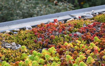 the cost of Carlton Le Moorland green roof installation