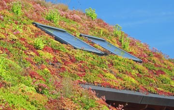 Carlton Le Moorland living roof systems