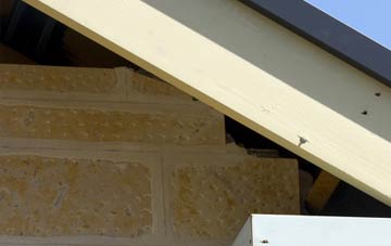 soffit repair Carlton Le Moorland