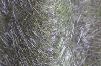 Carlton Le Moorland fibreglass roof work